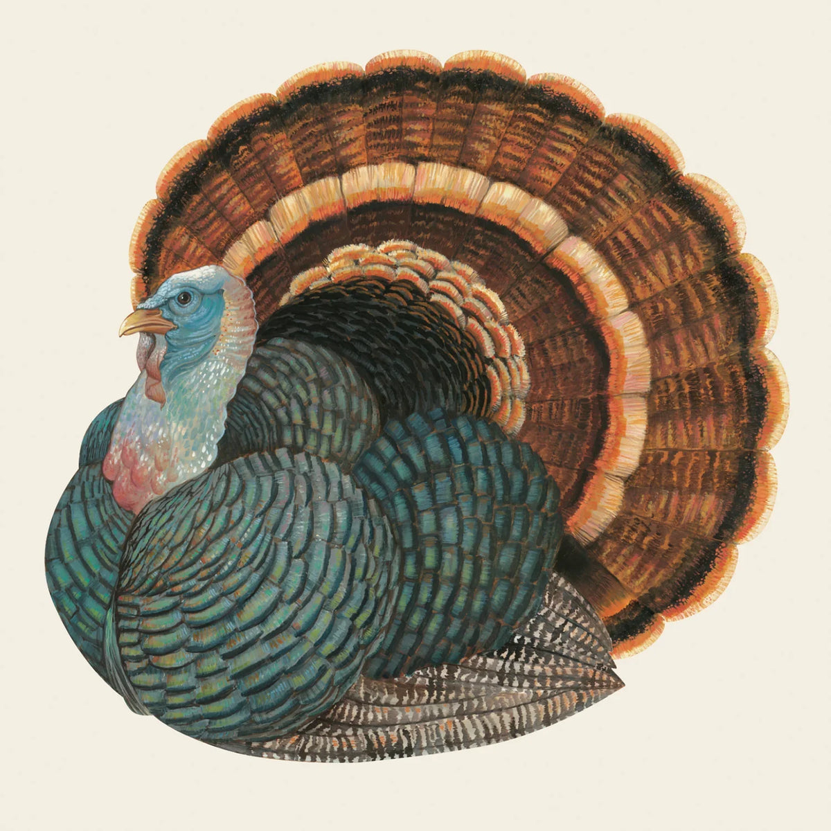 Thanksgiving Edit 2026